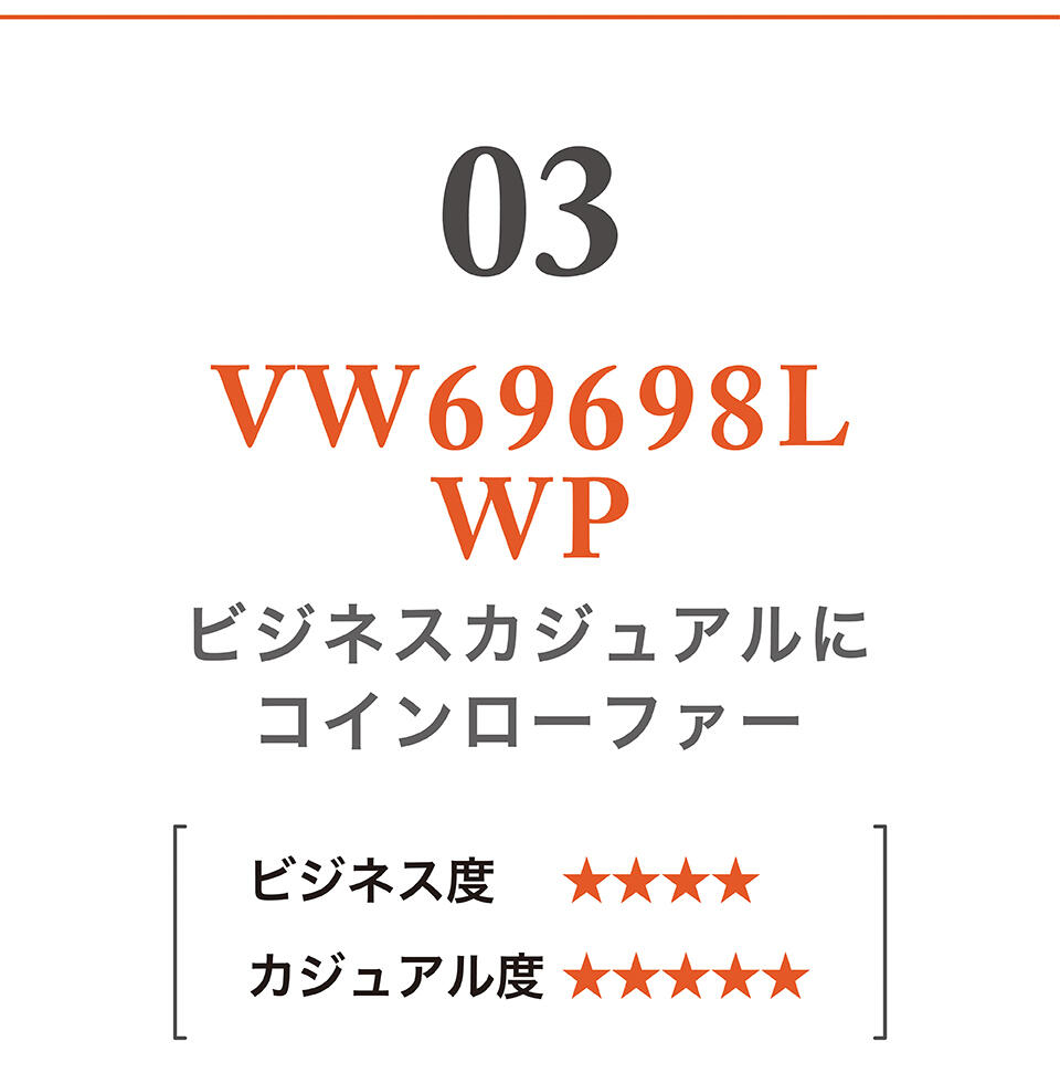 VW69698L WP